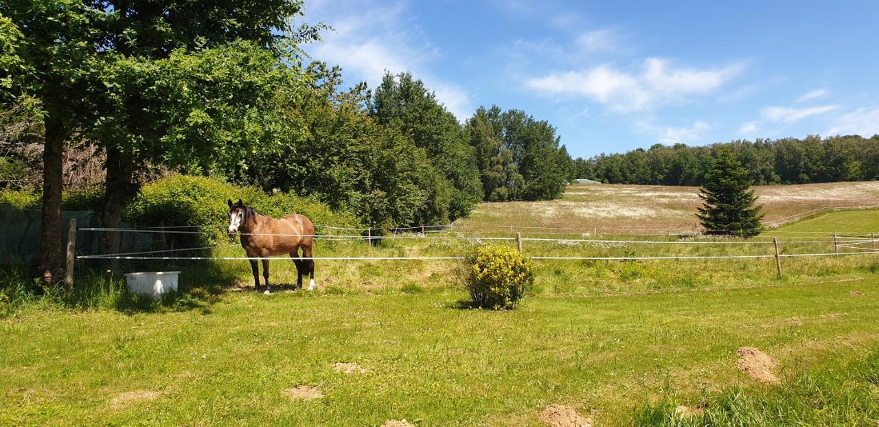 Vila Domaine De Vaulatour. Payzac  Exteriér fotografie